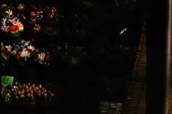 Bodega Flowers, frame 4 of 9