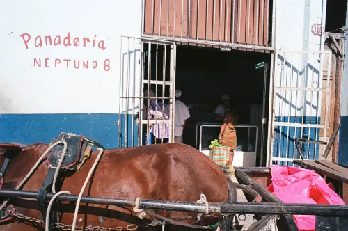 Five Days in Habana, frame 12 of 29