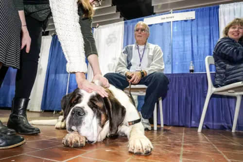 Meet the Breeds, frame 7 of 23