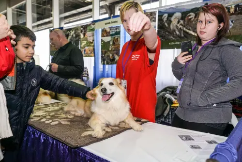 Meet the Breeds, frame 3 of 23