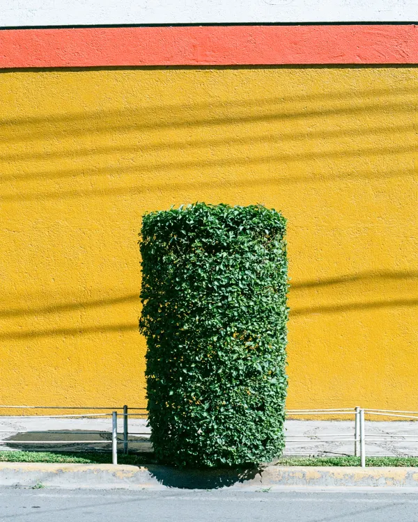 Mexico I, frame 6 of 64