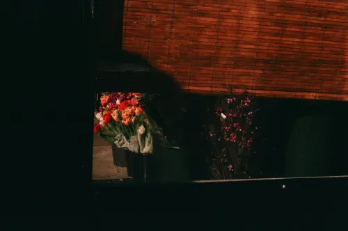 Bodega Flowers, frame 9 of 9