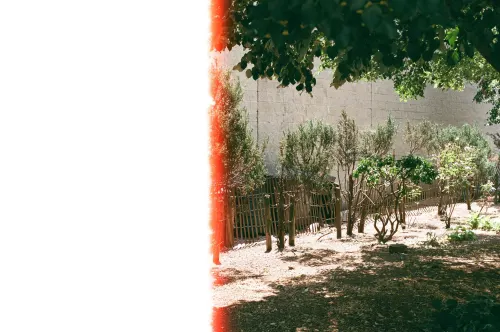Zero, frame 11 of 31